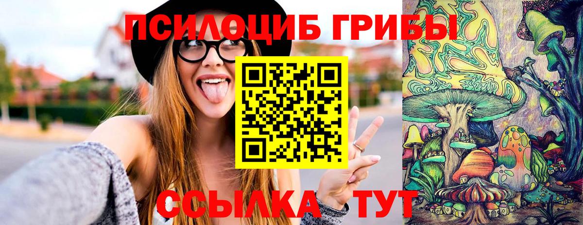 Псилоцибиновые грибы Cubensis  Псилоцибиновые грибы Psilocybine cubensis  Тобольск  Вход с VPN 